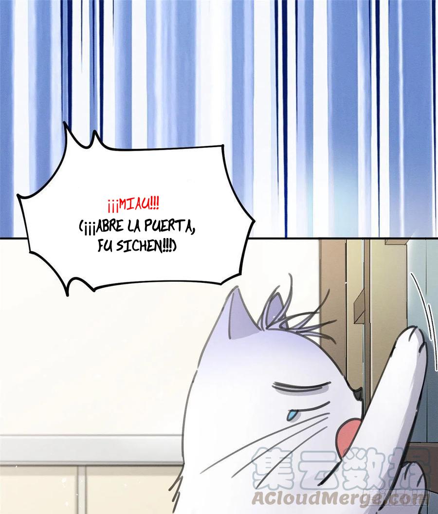 Tengo que trabajar duro para ser un gato hoy! - capitulo 12 manhwa