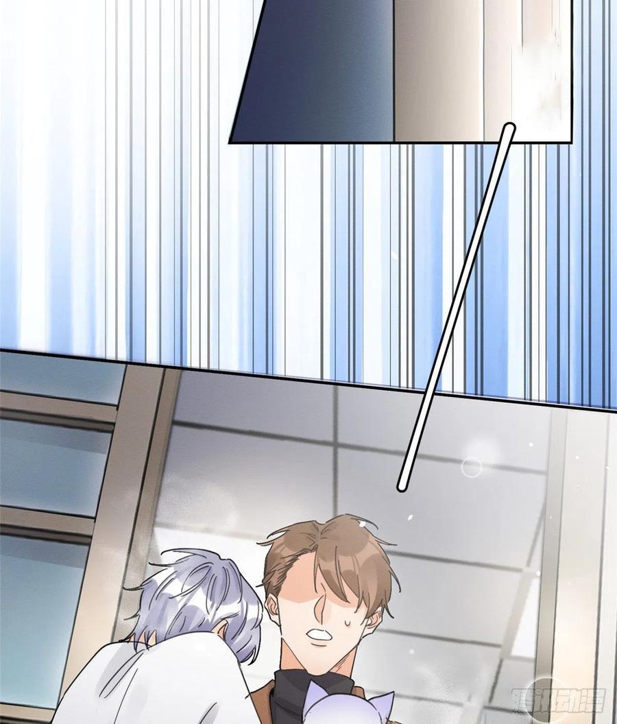 Tengo que trabajar duro para ser un gato hoy! - capitulo 12 manhwa