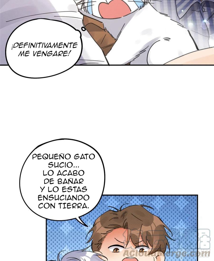 Tengo que trabajar duro para ser un gato hoy! - capitulo 12 manhwa
