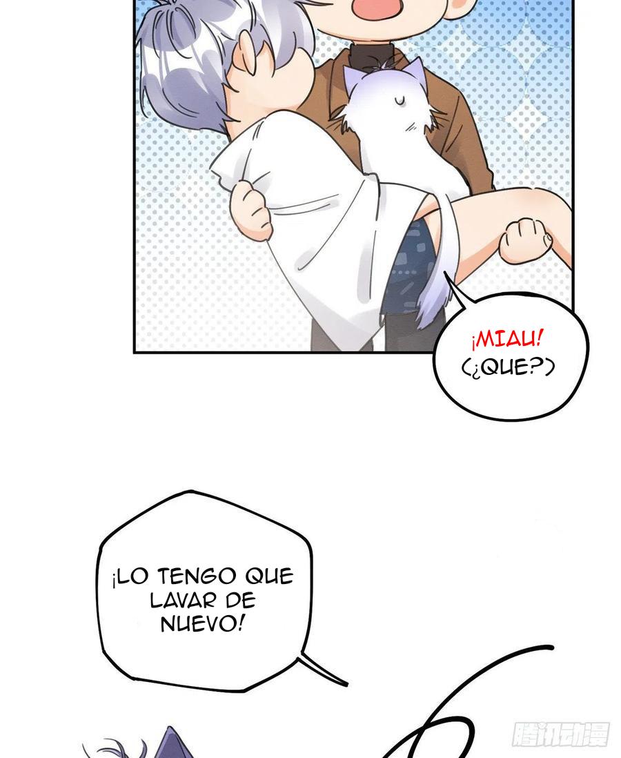 Tengo que trabajar duro para ser un gato hoy! - capitulo 12 manhwa