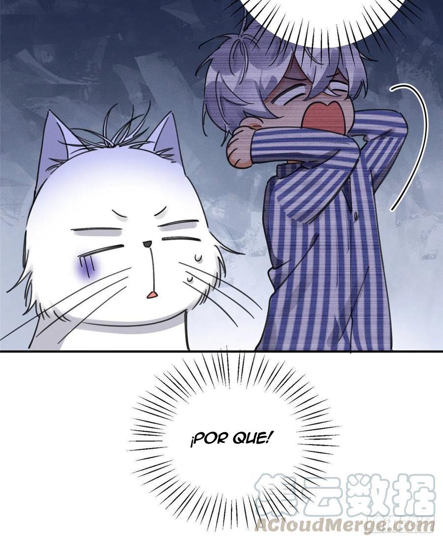 Tengo que trabajar duro para ser un gato hoy! - capitulo 12 manhwa