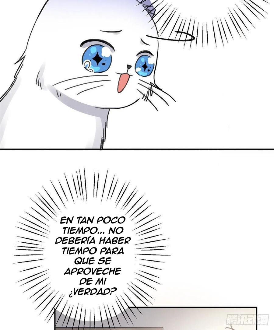 Tengo que trabajar duro para ser un gato hoy! - capitulo 12 manhwa