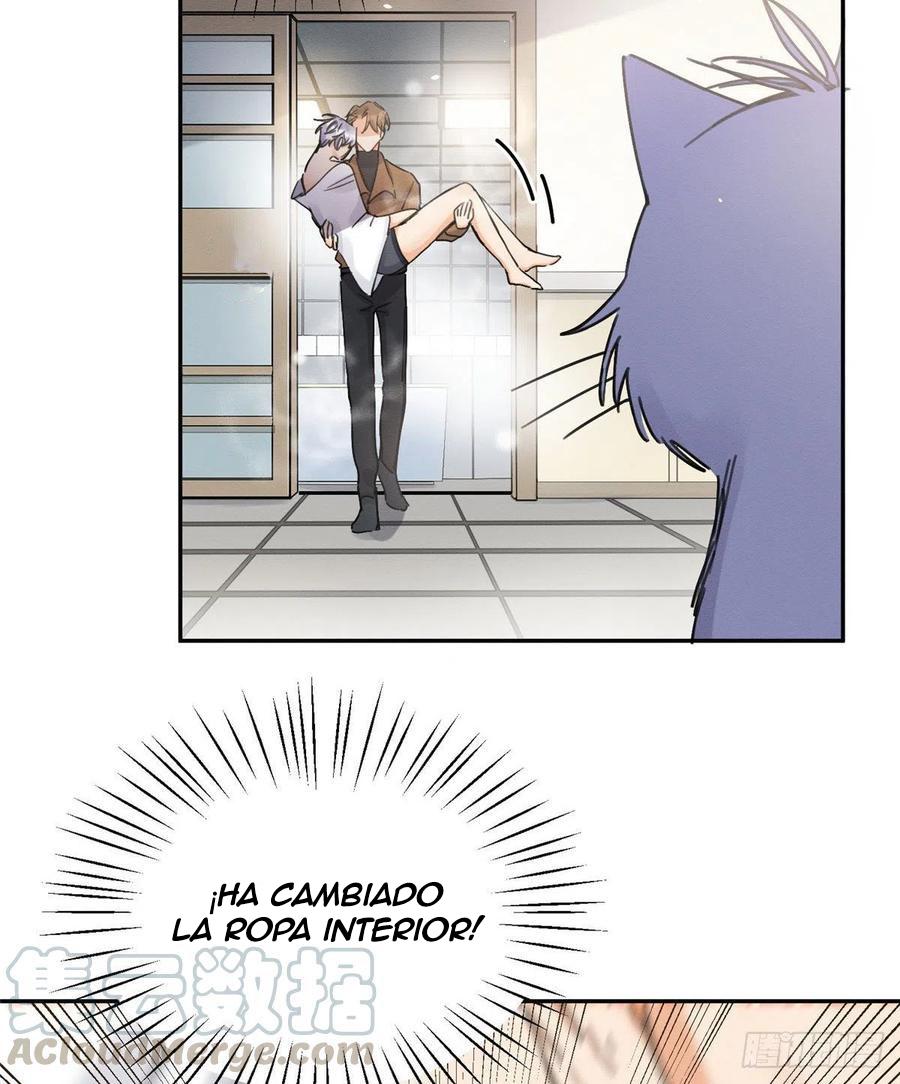 Tengo que trabajar duro para ser un gato hoy! - capitulo 12 manhwa