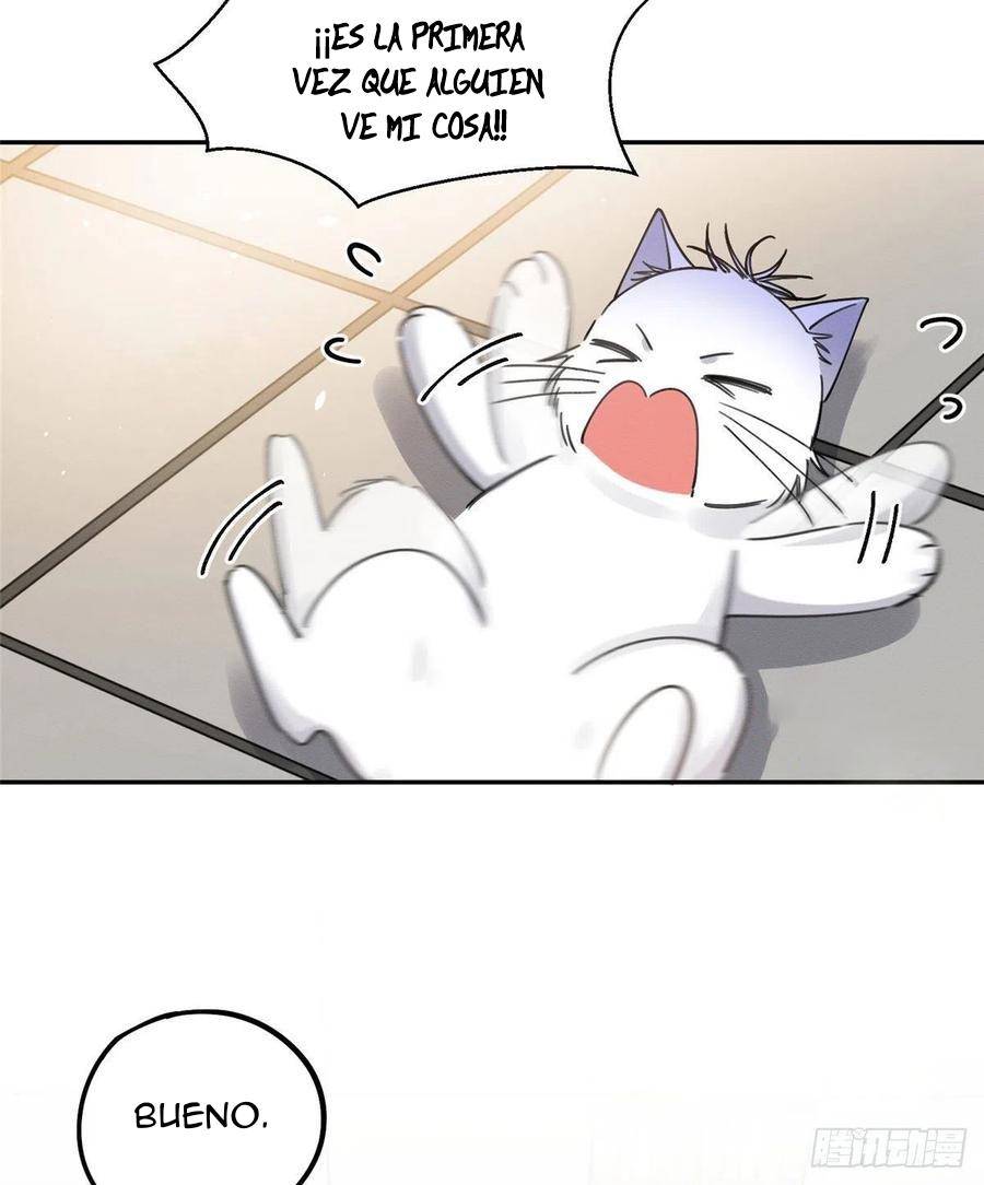 Tengo que trabajar duro para ser un gato hoy! - capitulo 12 manhwa