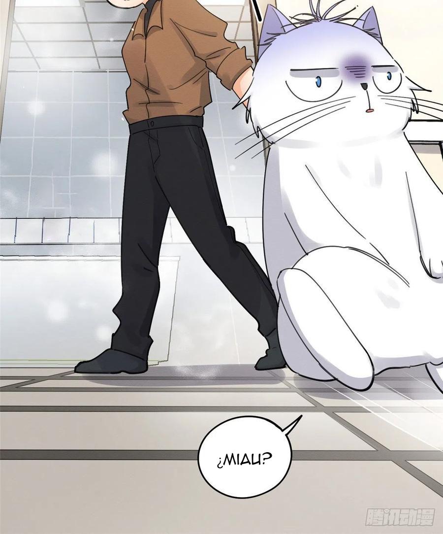 Tengo que trabajar duro para ser un gato hoy! - capitulo 12 manhwa