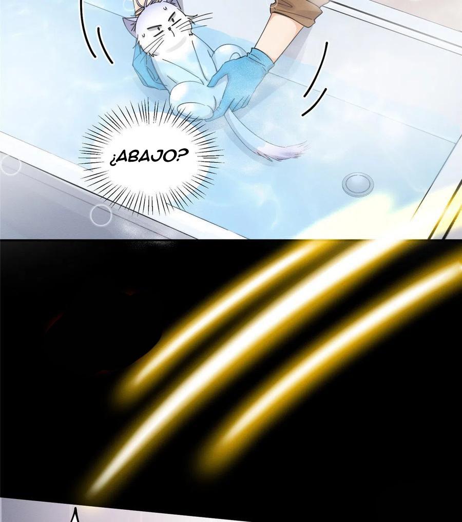Tengo que trabajar duro para ser un gato hoy! - capitulo 12 manhwa