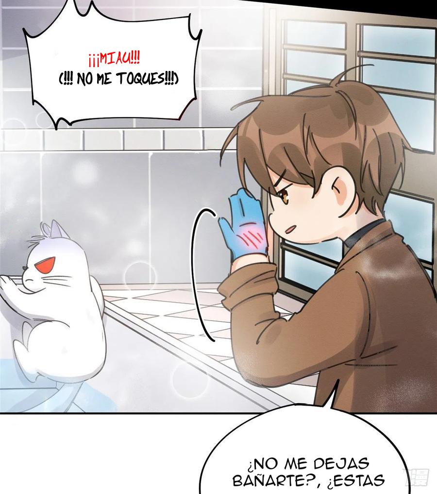 Tengo que trabajar duro para ser un gato hoy! - capitulo 12 manhwa