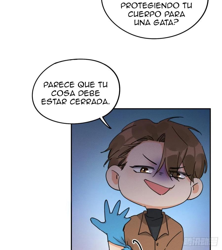 Tengo que trabajar duro para ser un gato hoy! - capitulo 12 manhwa