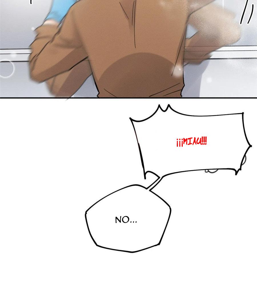 Tengo que trabajar duro para ser un gato hoy! - capitulo 12 manhwa
