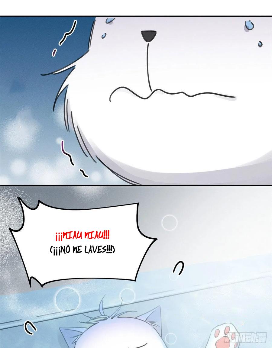 Tengo que trabajar duro para ser un gato hoy! - capitulo 12 manhwa