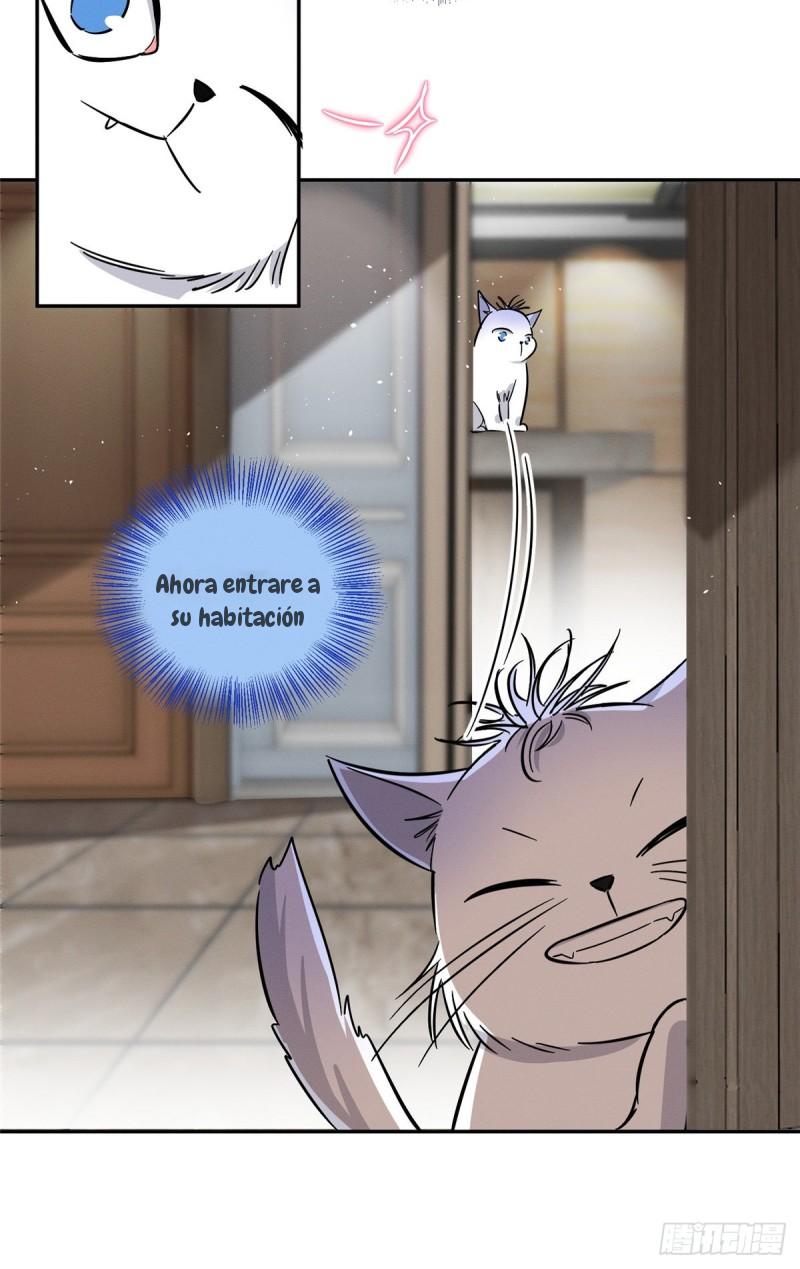 Tengo que trabajar duro para ser un gato hoy! - capitulo 28 manhwa