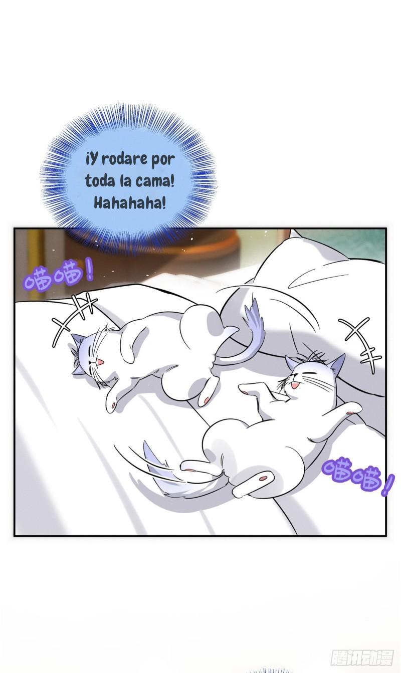 Tengo que trabajar duro para ser un gato hoy! - capitulo 28 manhwa