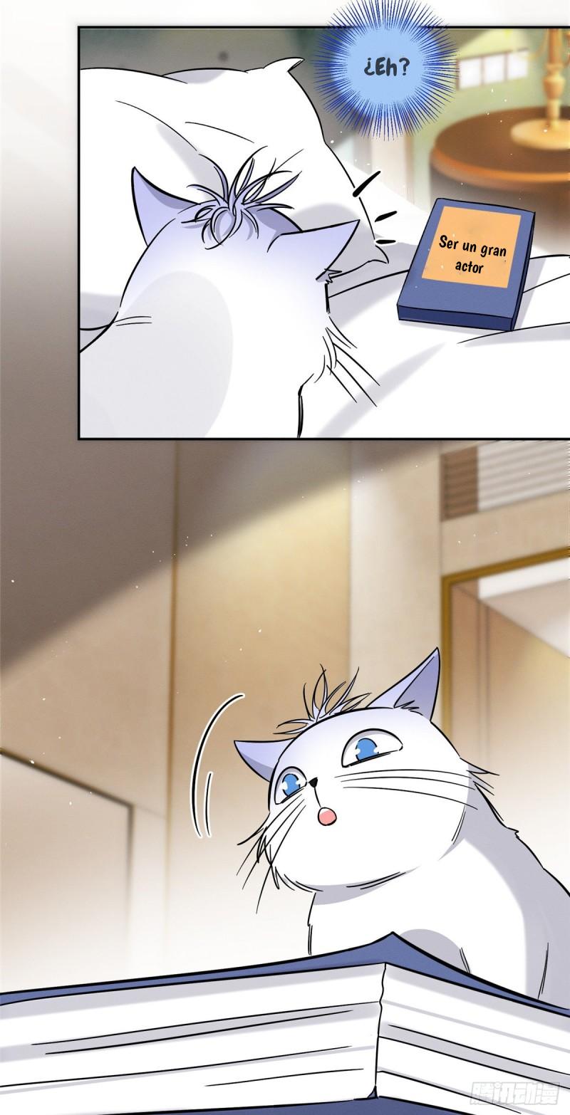 Tengo que trabajar duro para ser un gato hoy! - capitulo 28 manhwa