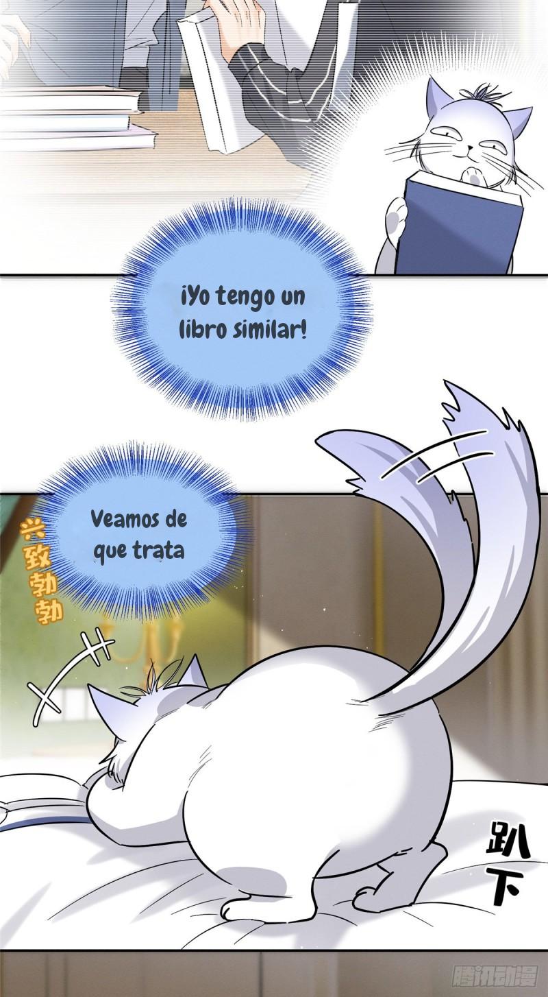 Tengo que trabajar duro para ser un gato hoy! - capitulo 28 manhwa