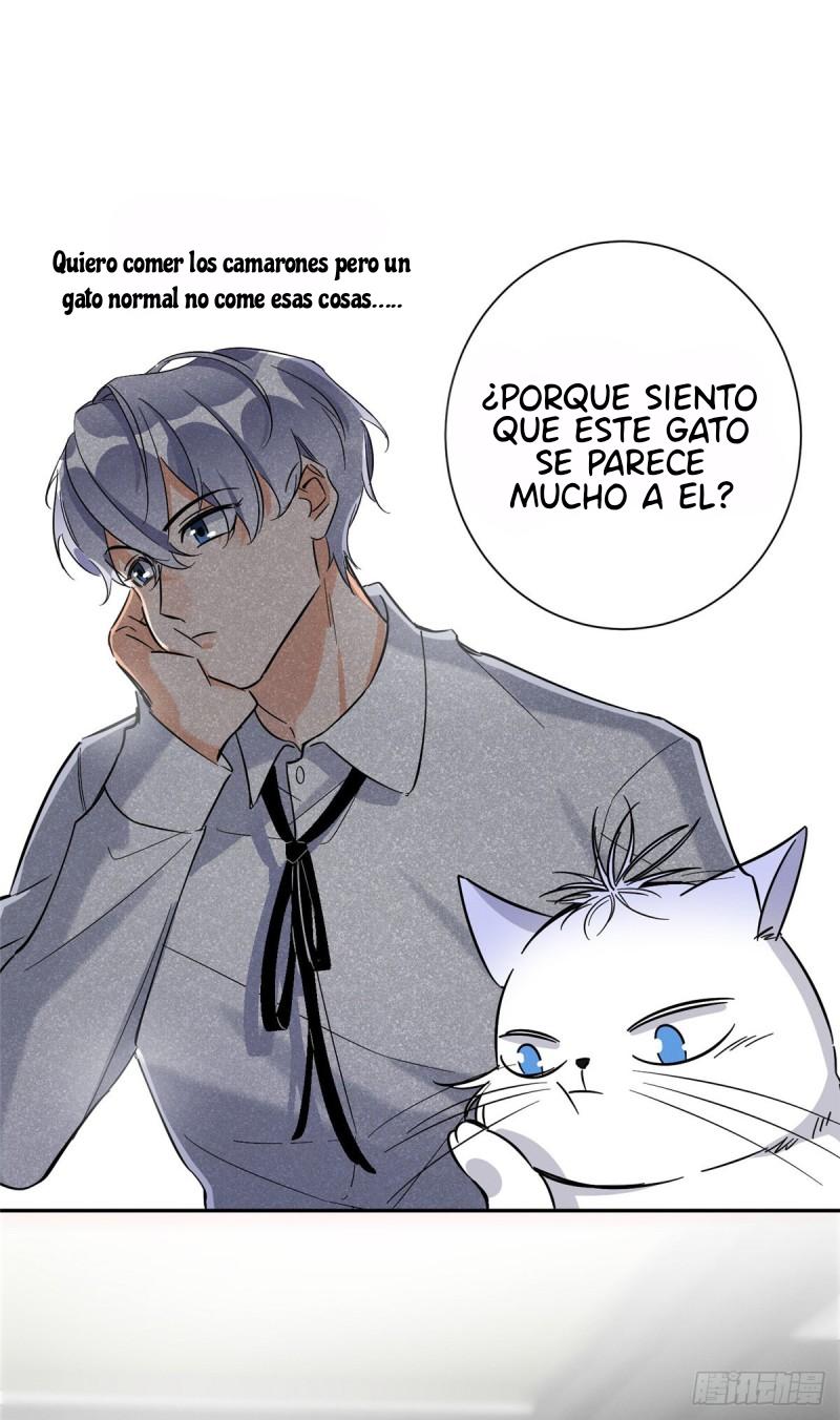 Tengo que trabajar duro para ser un gato hoy! - capitulo 28 manhwa