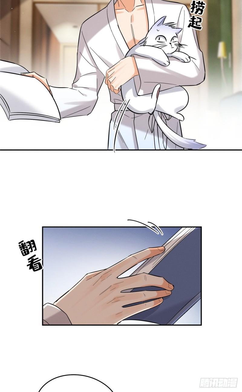 Tengo que trabajar duro para ser un gato hoy! - capitulo 28 manhwa