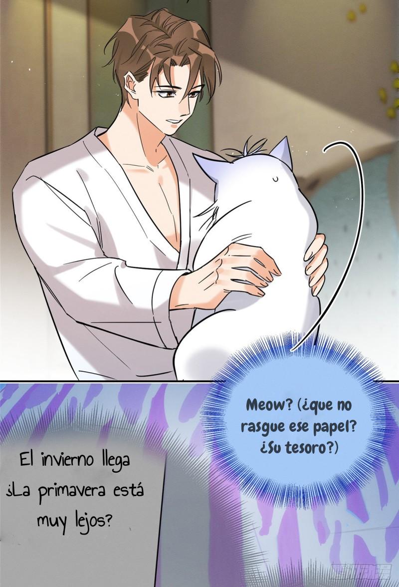 Tengo que trabajar duro para ser un gato hoy! - capitulo 28 manhwa