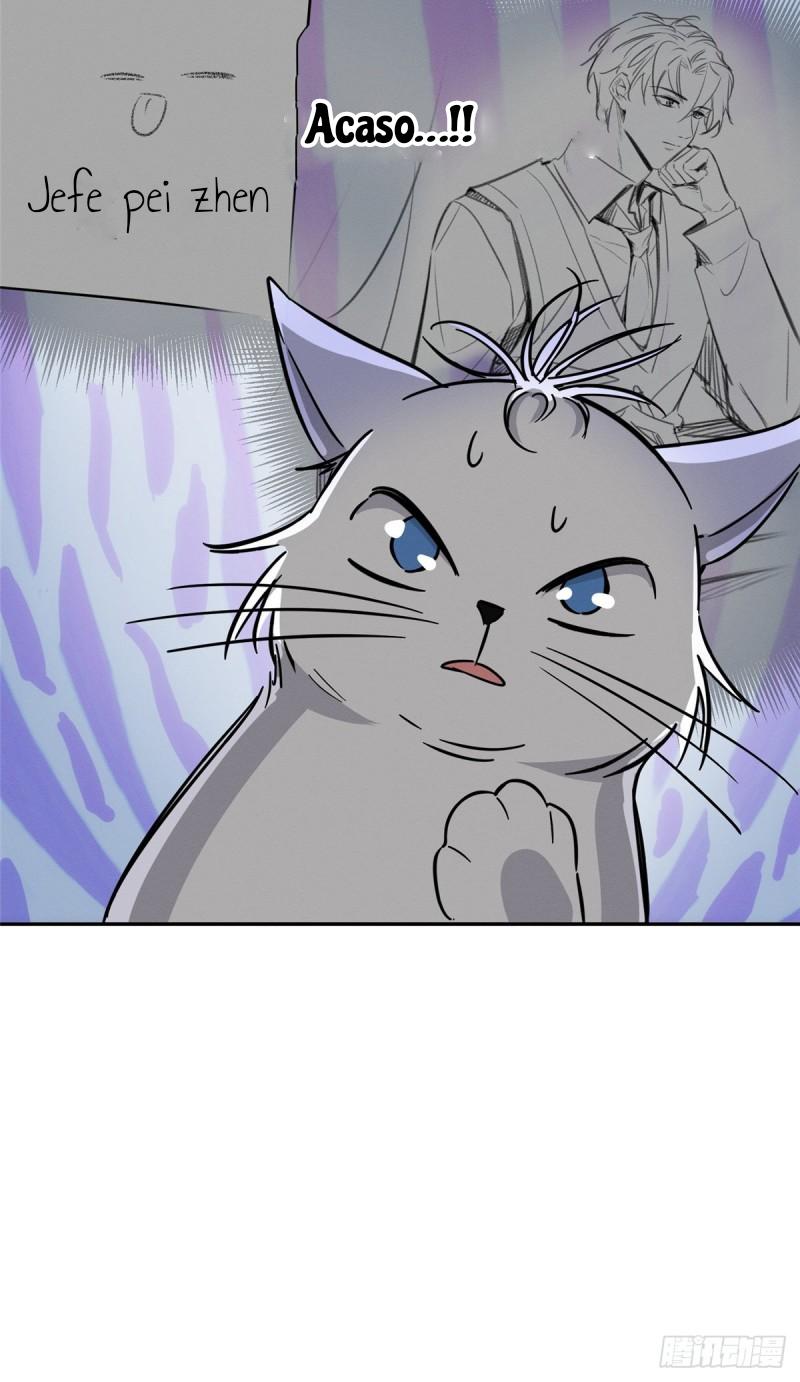 Tengo que trabajar duro para ser un gato hoy! - capitulo 28 manhwa