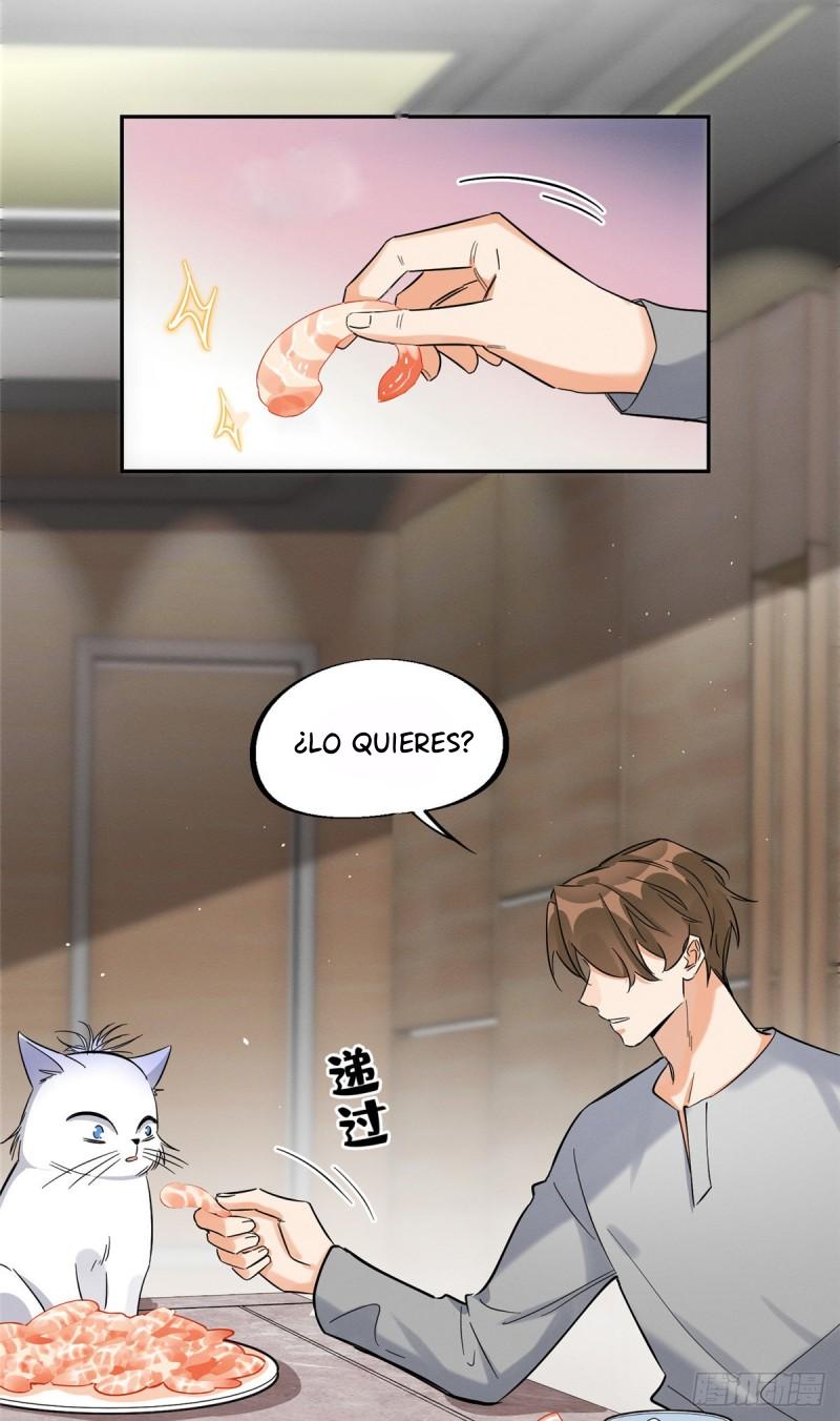 Tengo que trabajar duro para ser un gato hoy! - capitulo 28 manhwa