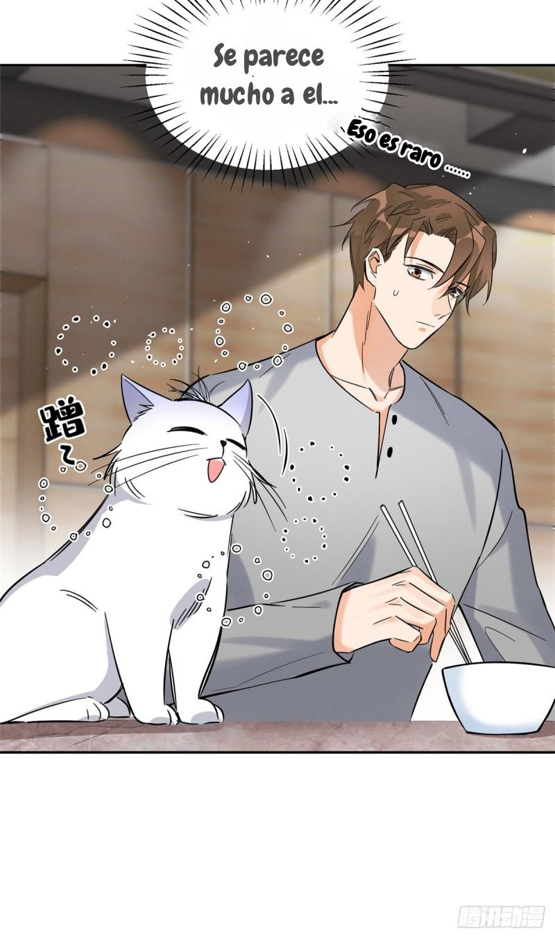 Tengo que trabajar duro para ser un gato hoy! - capitulo 28 manhwa