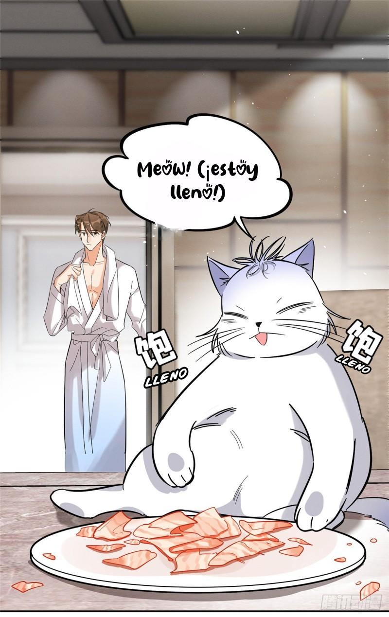 Tengo que trabajar duro para ser un gato hoy! - capitulo 28 manhwa