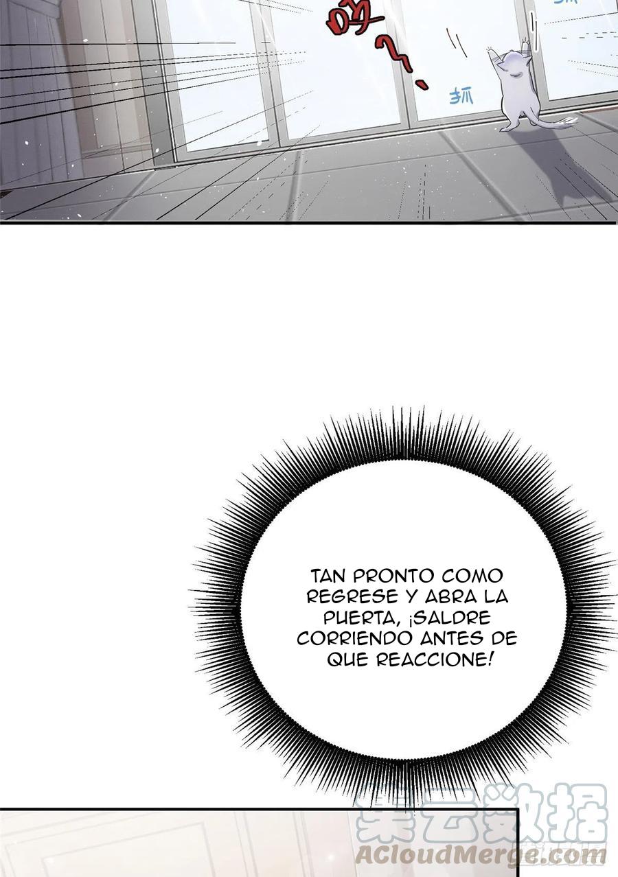 Tengo que trabajar duro para ser un gato hoy! - capitulo 5 manhwa
