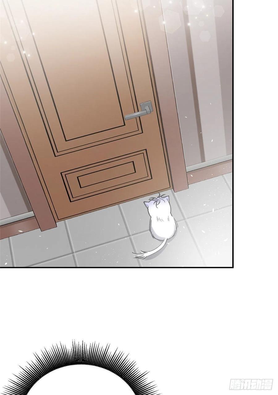 Tengo que trabajar duro para ser un gato hoy! - capitulo 5 manhwa