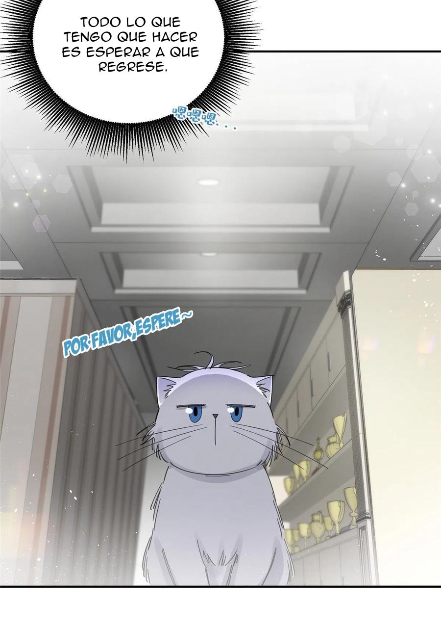 Tengo que trabajar duro para ser un gato hoy! - capitulo 5 manhwa
