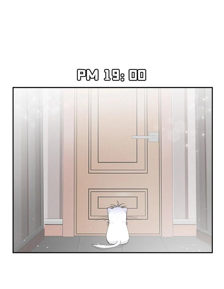 Tengo que trabajar duro para ser un gato hoy! - capitulo 5 manhwa