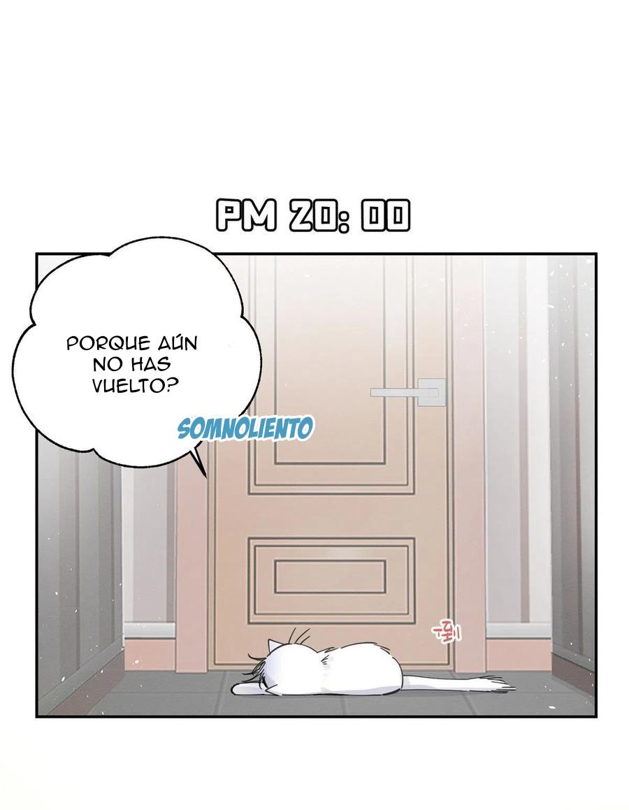 Tengo que trabajar duro para ser un gato hoy! - capitulo 5 manhwa