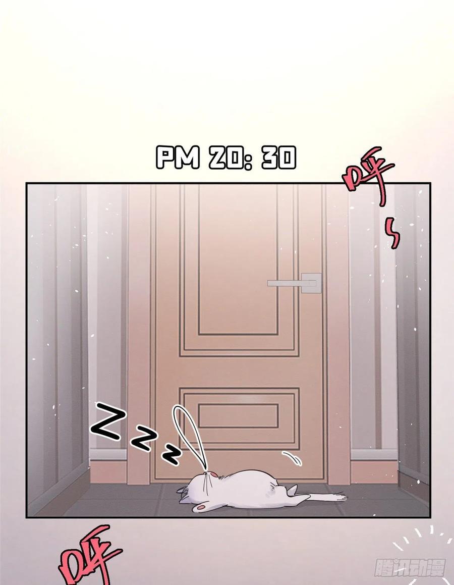 Tengo que trabajar duro para ser un gato hoy! - capitulo 5 manhwa