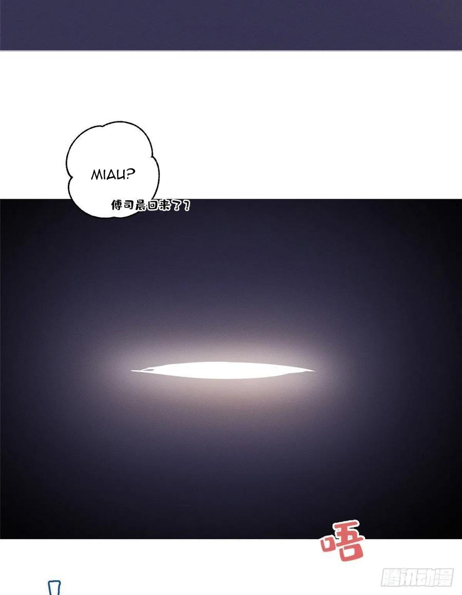 Tengo que trabajar duro para ser un gato hoy! - capitulo 5 manhwa
