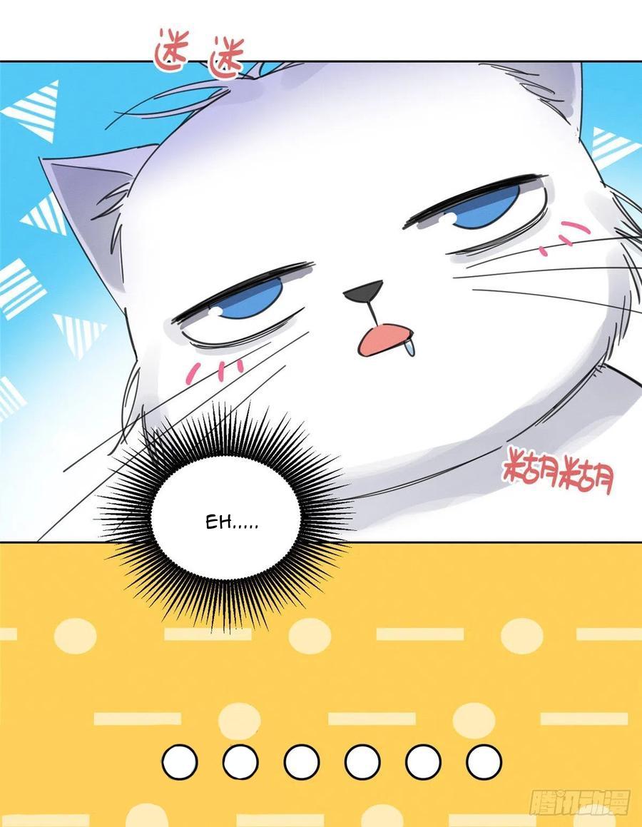 Tengo que trabajar duro para ser un gato hoy! - capitulo 5 manhwa
