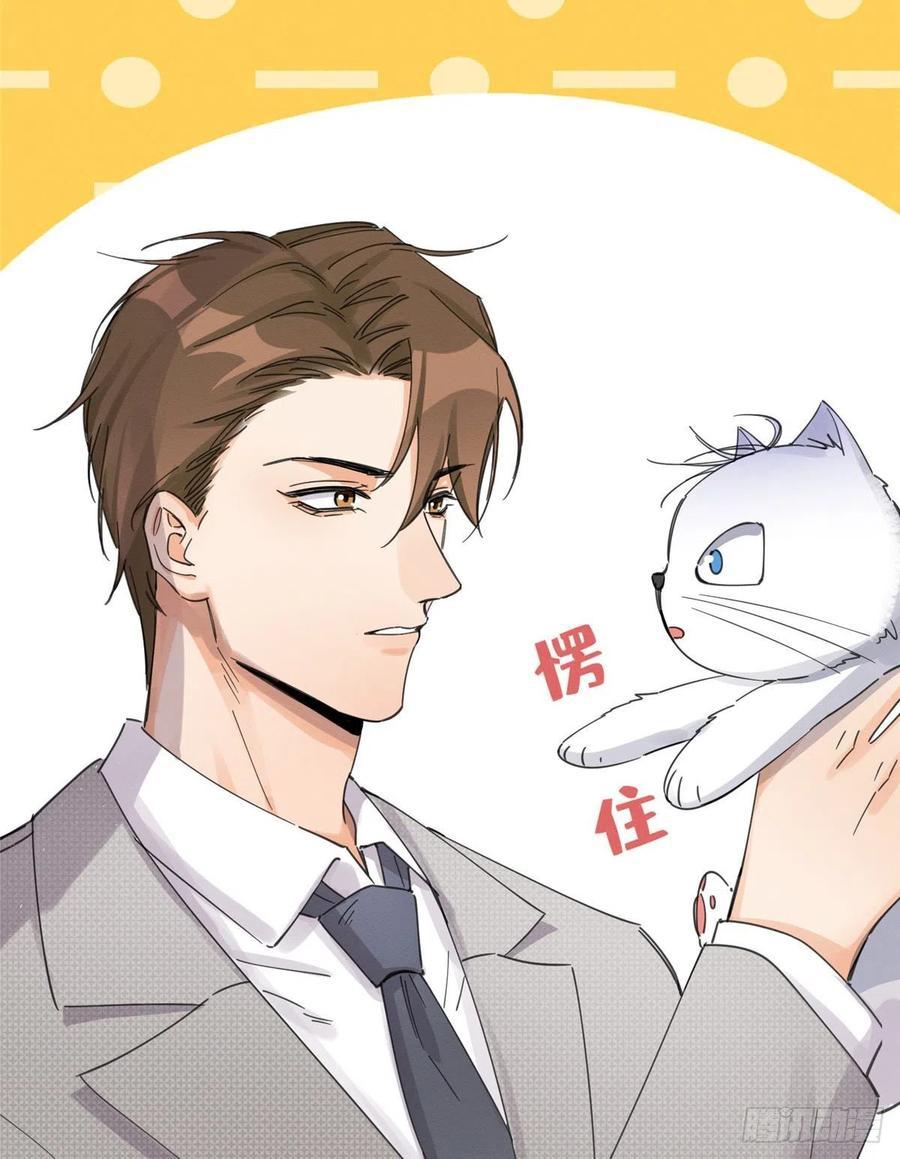 Tengo que trabajar duro para ser un gato hoy! - capitulo 5 manhwa