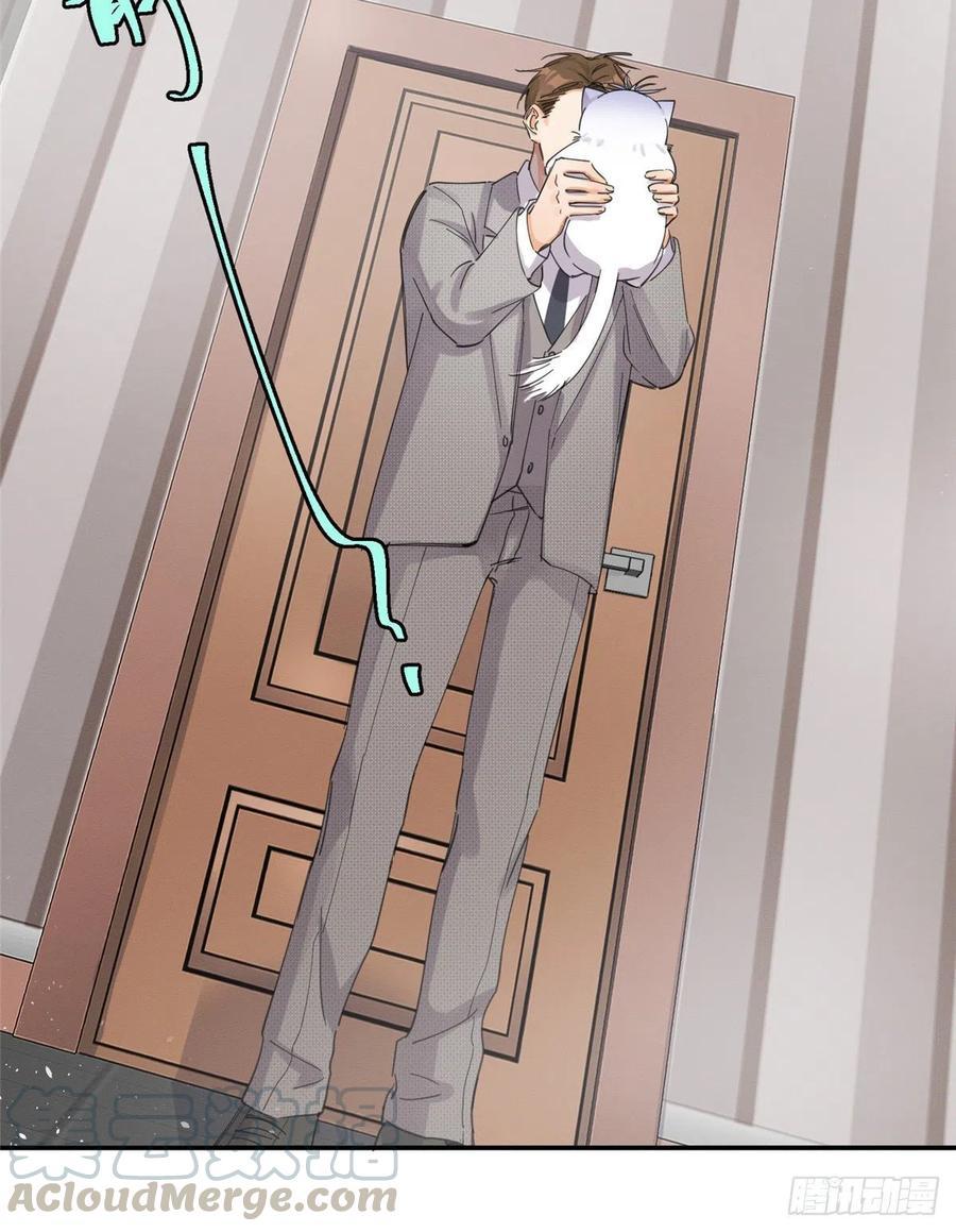 Tengo que trabajar duro para ser un gato hoy! - capitulo 5 manhwa