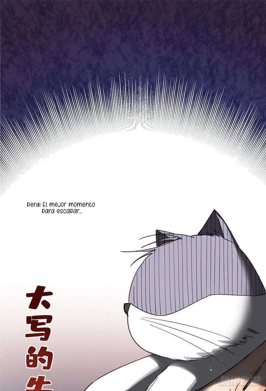 Tengo que trabajar duro para ser un gato hoy! - capitulo 5 manhwa
