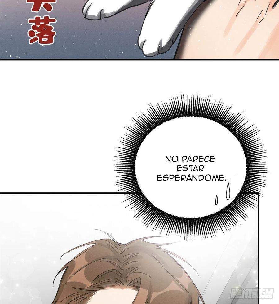 Tengo que trabajar duro para ser un gato hoy! - capitulo 5 manhwa