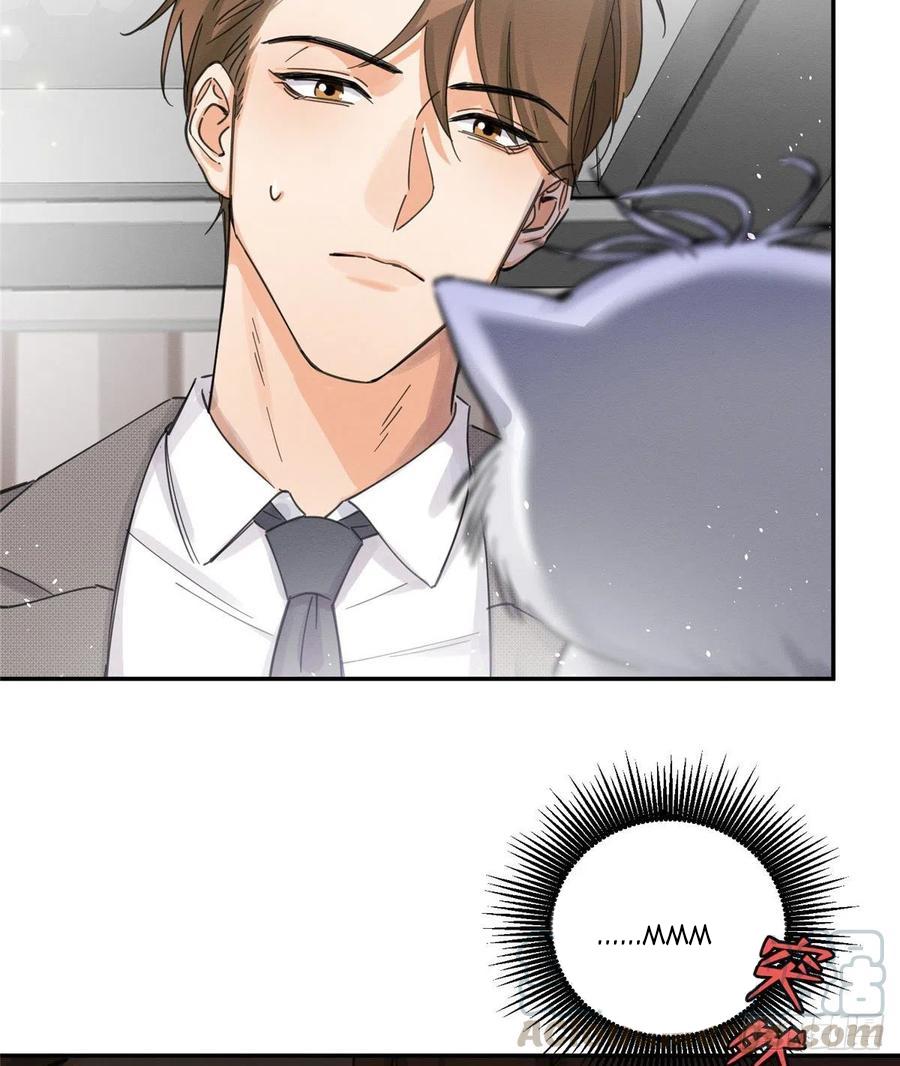 Tengo que trabajar duro para ser un gato hoy! - capitulo 5 manhwa