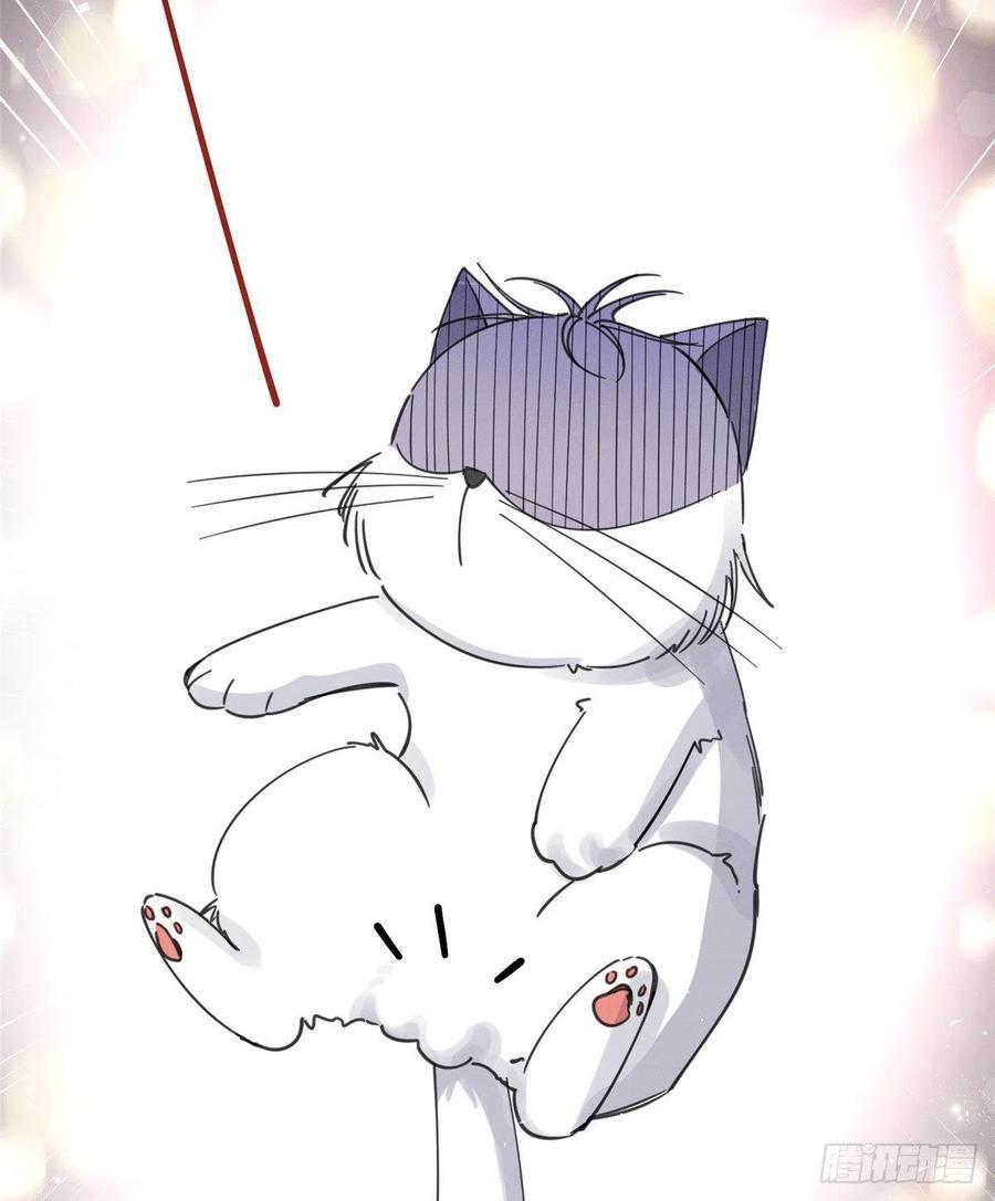 Tengo que trabajar duro para ser un gato hoy! - capitulo 5 manhwa