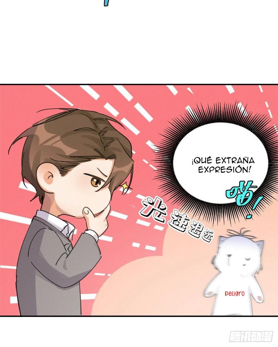 Tengo que trabajar duro para ser un gato hoy! - capitulo 5 manhwa