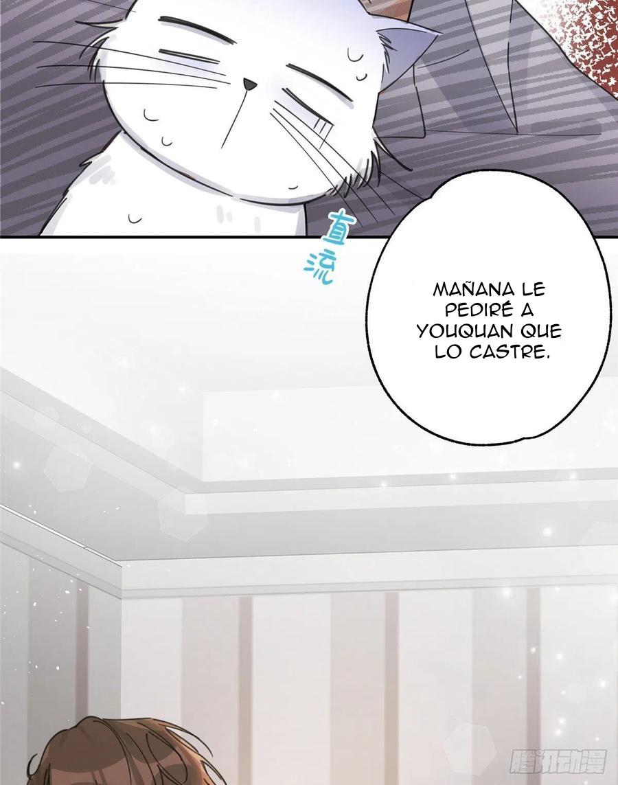 Tengo que trabajar duro para ser un gato hoy! - capitulo 5 manhwa