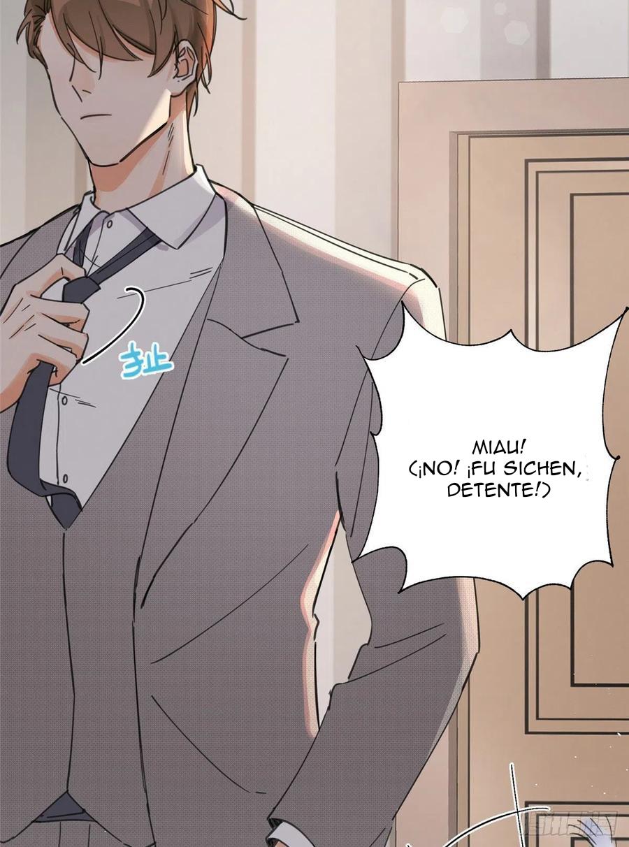 Tengo que trabajar duro para ser un gato hoy! - capitulo 5 manhwa