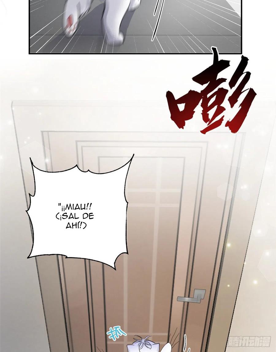 Tengo que trabajar duro para ser un gato hoy! - capitulo 5 manhwa
