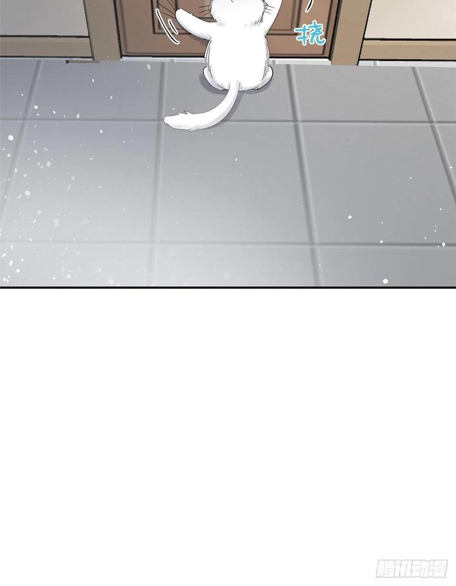 Tengo que trabajar duro para ser un gato hoy! - capitulo 5 manhwa