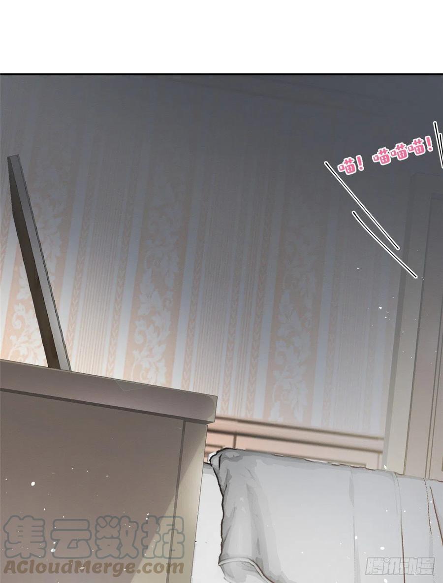 Tengo que trabajar duro para ser un gato hoy! - capitulo 5 manhwa