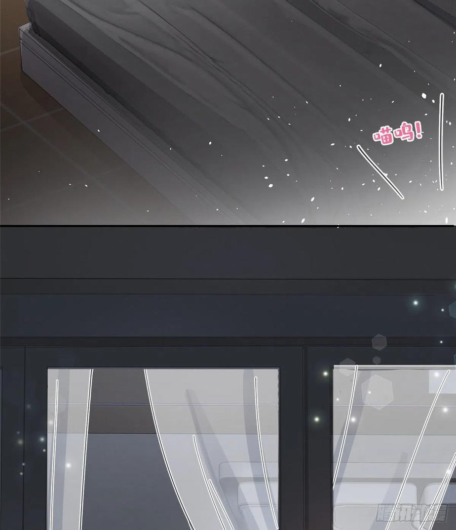 Tengo que trabajar duro para ser un gato hoy! - capitulo 5 manhwa
