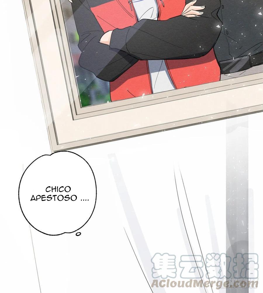 Tengo que trabajar duro para ser un gato hoy! - capitulo 5 manhwa