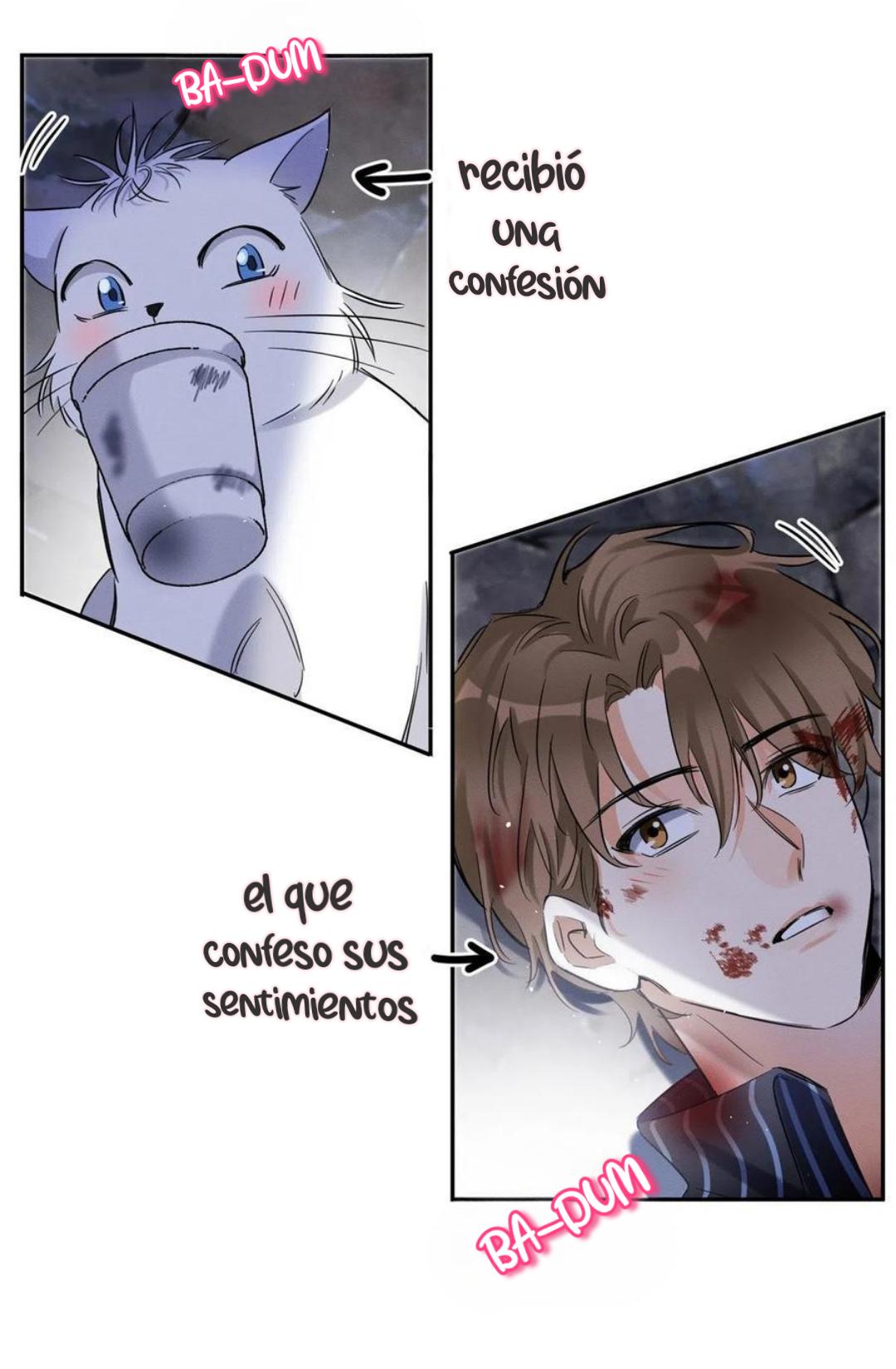 Tengo que trabajar duro para ser un gato hoy! - capitulo 54 manhwa