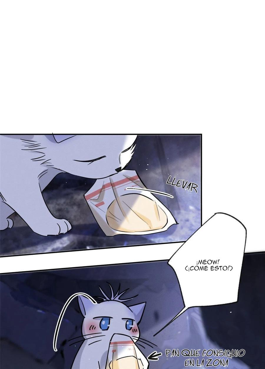 Tengo que trabajar duro para ser un gato hoy! - capitulo 54 manhwa