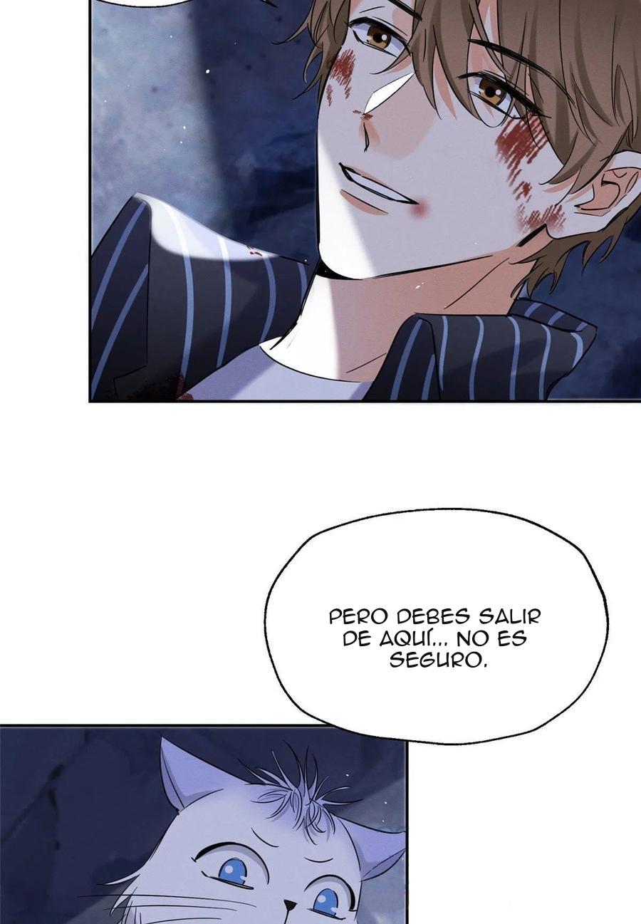 Tengo que trabajar duro para ser un gato hoy! - capitulo 54 manhwa